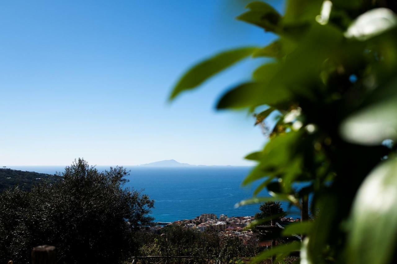 Casa Floriana Apartment Vico Equense Exterior photo